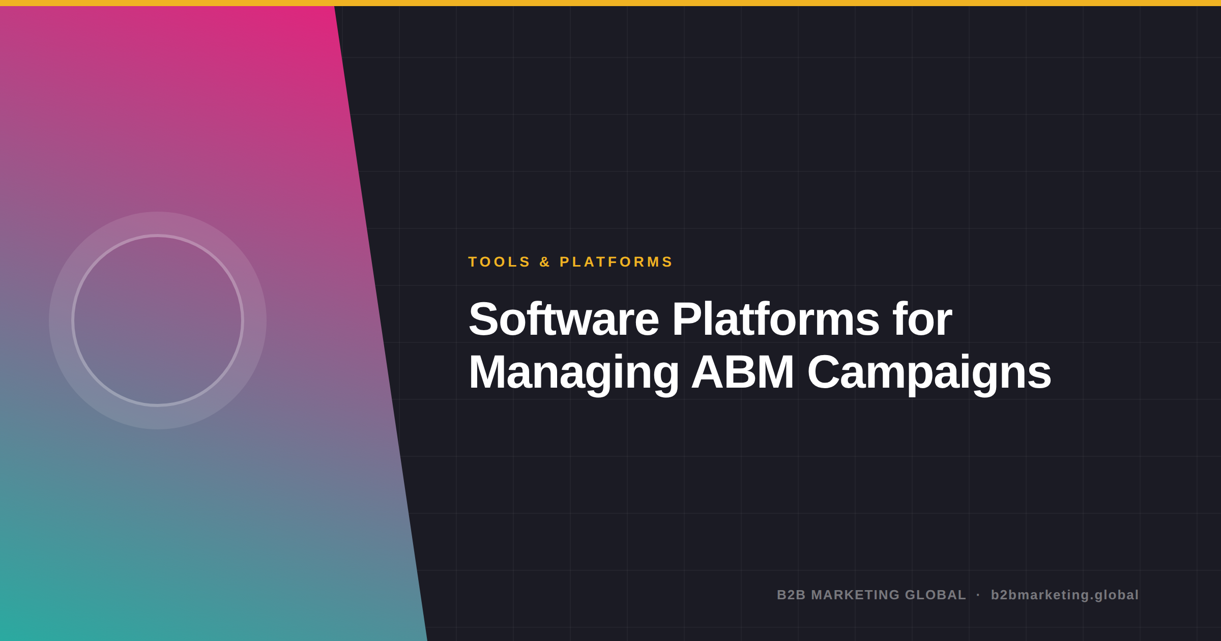 Software Platforms for Managing ABM Campaigns